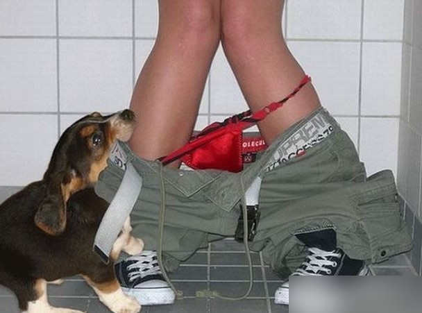 看老外超有喜感的搞笑时刻:无处不欢乐