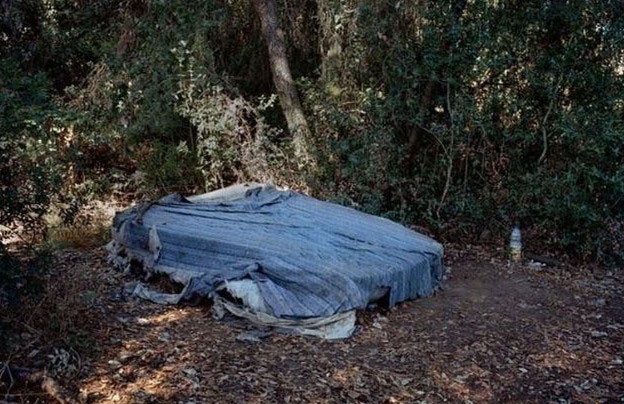 非洲女树林<em>卖春</em>现场 到处都是战利品-读书频道