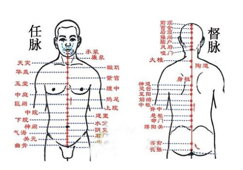 甘肃猪蹄厅长打通任督二脉 名中医解析原理(组