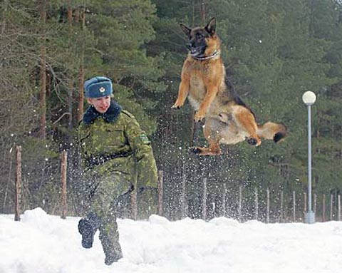 <em>白俄罗斯</em>限制<em>美女</em>出国 称<em>美女</em>外流使本国失色