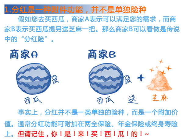 什么是分红险 154584807.jpg