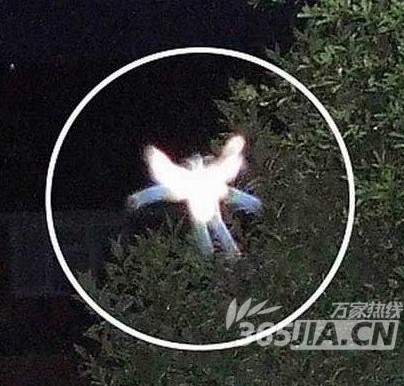 盘点全球十大灵异事件 杰克逊复活(组图)