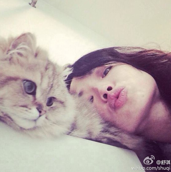 刘亦菲抱猫图片