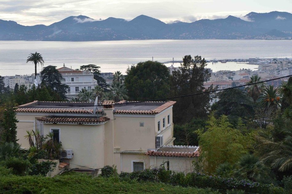 命运的差异:薄瓜瓜现身纽约购物 令谷车祸惨死