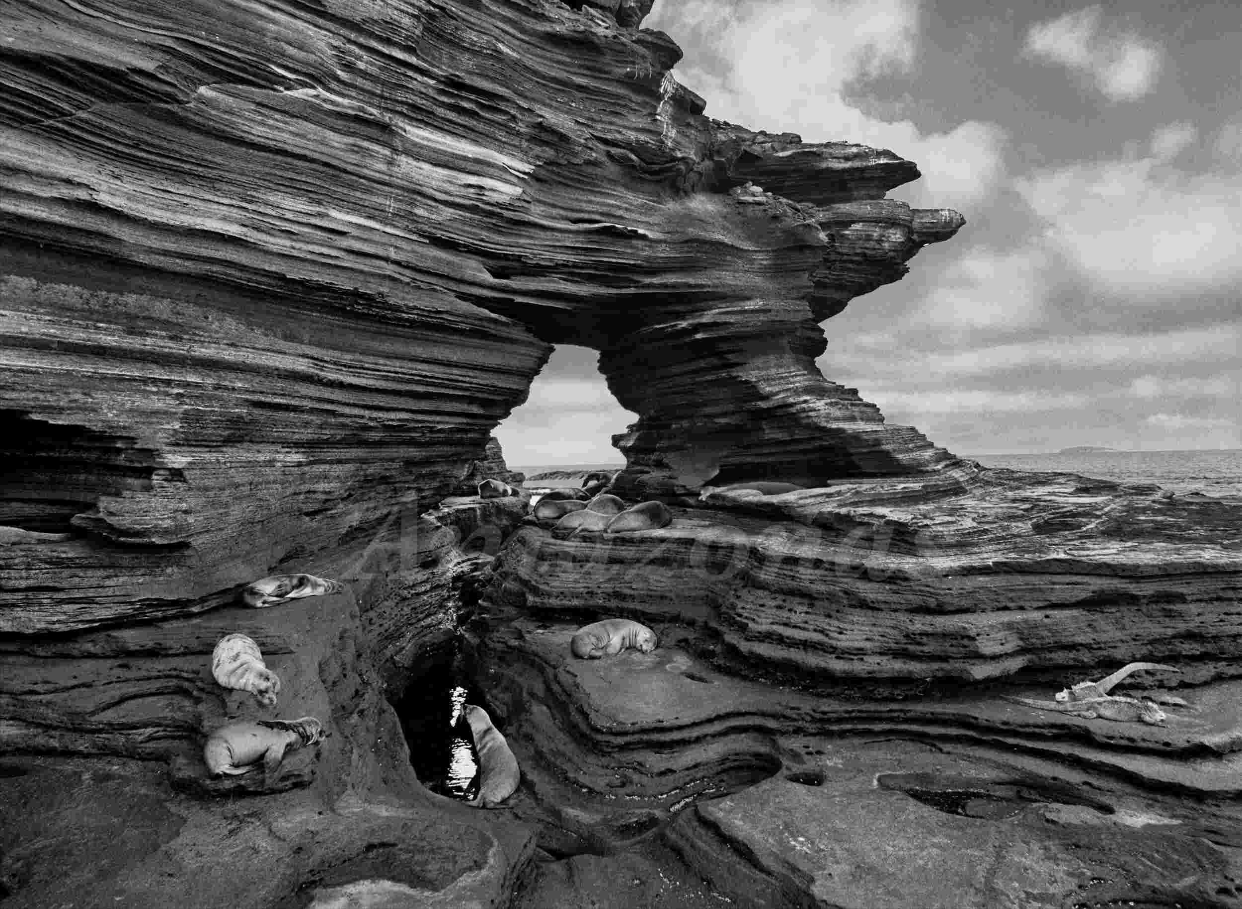 组图:墓地被收强制管理 法院判违法却无责令撤