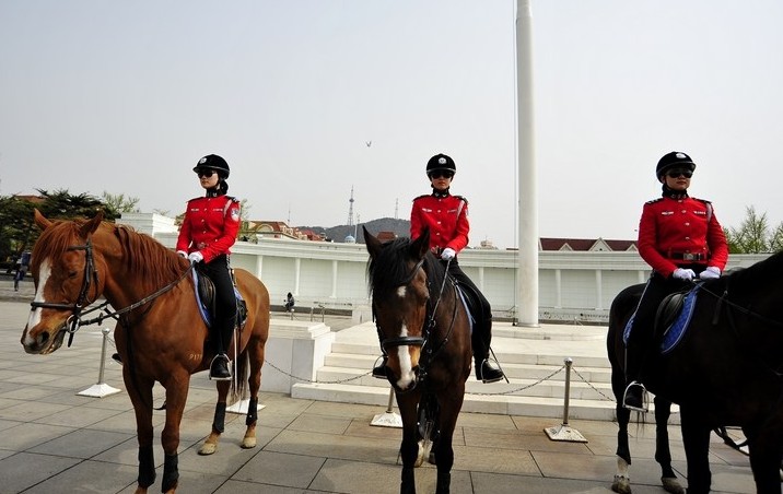 养马成本2500元/月 探秘大连女骑警训练基地