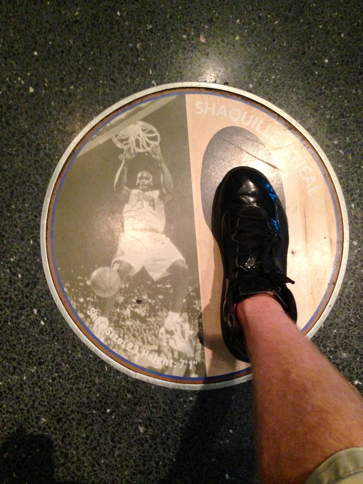 组图:篮坛巨足姚明向郑海霞借鞋 乔丹尺寸爆大巴